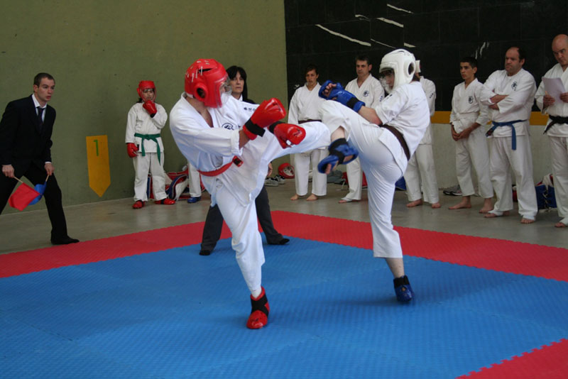 Campeonato Navarro de Kenpo